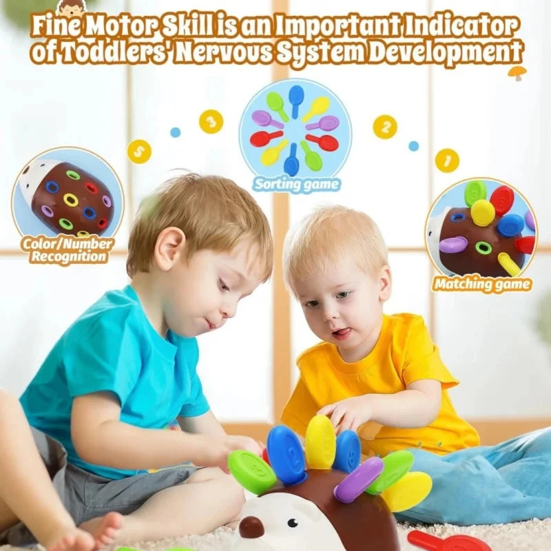 Hérisson Montessori Sensoriel – Jouet de Motricité Fine & Éveil Éducatif pour Bébé et Enfant